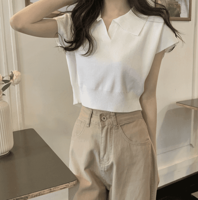 骨格ウェーブ服ショート丈Vネックニットトップス